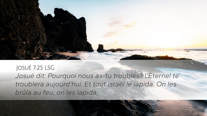 Josué 7:25 LSG Desktop Wallpaper - Josué dit: Pourquoi nous as-tu troublés? - Desktop Bible Verse Wallpaper