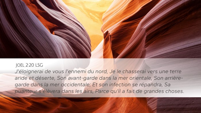 Joël 2:20 LSG Bible Verse Image