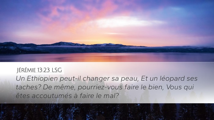 Jérémie 13:23 LSG Bible Verse Image