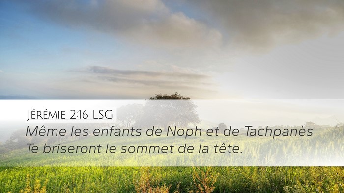Jérémie 2:16 LSG Desktop Wallpaper - Même les enfants de Noph et de Tachpanès Te - Desktop Bible Verse Wallpaper