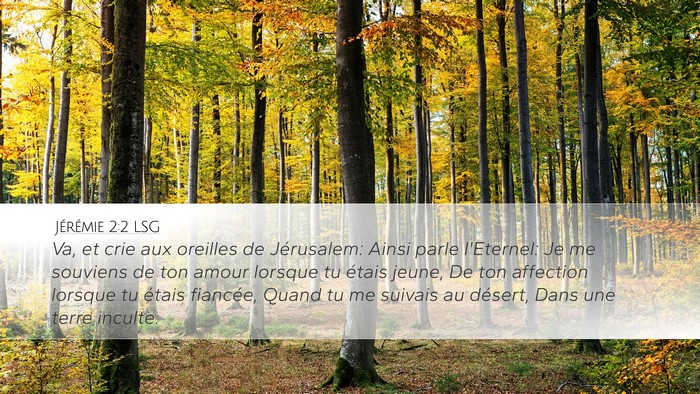 Jérémie 2:2 LSG Bible Verse Image