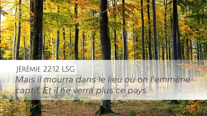 Jérémie 22:12 LSG Desktop Wallpaper - Mais il mourra dans le lieu où on l'emmène - Desktop Bible Verse Wallpaper