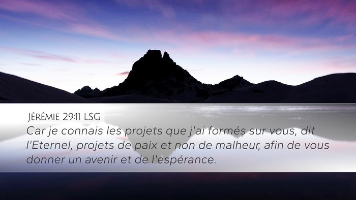 Jérémie 29:11 LSG Bible Verse Image