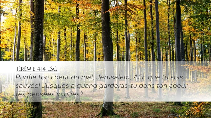 Jérémie 4:14 LSG Bible Verse Image