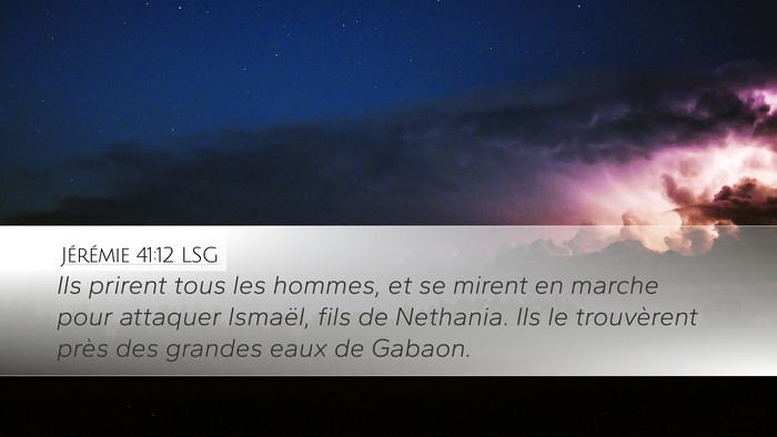 Jérémie 41:12 LSG Desktop Wallpaper - Ils prirent tous les hommes, et se mirent en - Desktop Bible Verse Wallpaper