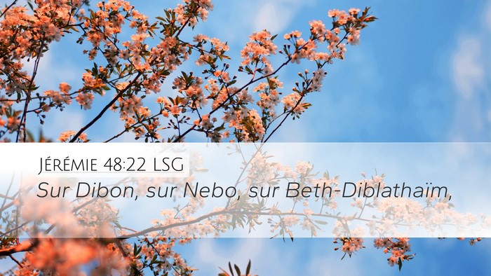 Jérémie 48:22 LSG Bible Verse Image