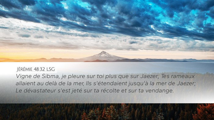 Jérémie 48:32 LSG Desktop Wallpaper - Vigne de Sibma, je pleure sur toi plus que sur - Desktop Bible Verse Wallpaper