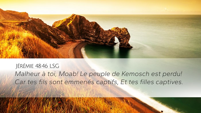 Jérémie 48:46 LSG Bible Verse Image