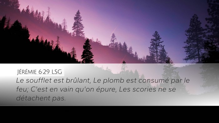 Jérémie 6:29 LSG Bible Verse Image