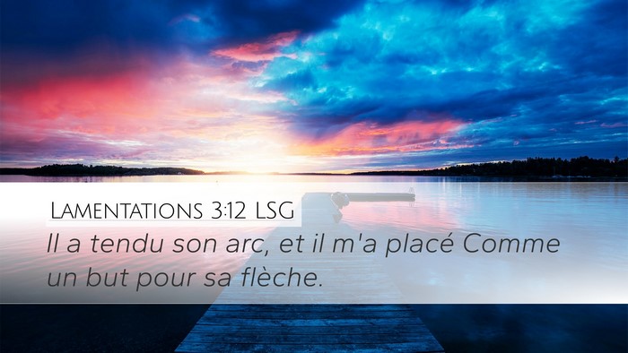 Lamentations 3:12 LSG Bible Verse Image