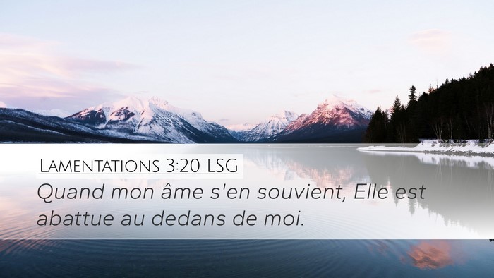 Lamentations 3:20 LSG Bible Verse Image