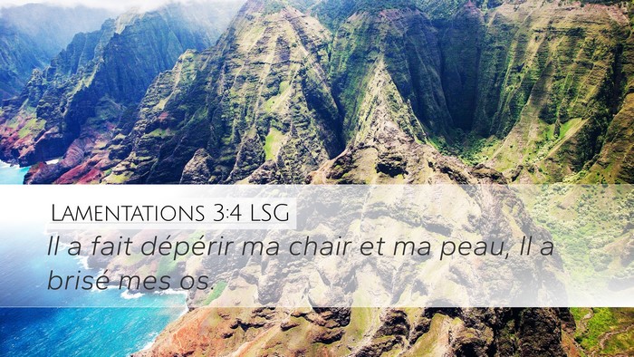 Lamentations 3:4 LSG Desktop Wallpaper - Il a fait dépérir ma chair et ma peau, Il a - Desktop Bible Verse Wallpaper