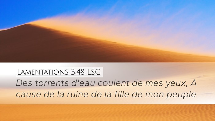 Lamentations 3:48 LSG Bible Verse Image