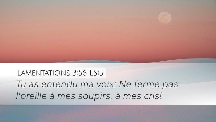 Lamentations 3:56 LSG Desktop Wallpaper - Tu as entendu ma voix: Ne ferme pas l'oreille à - Desktop Bible Verse Wallpaper