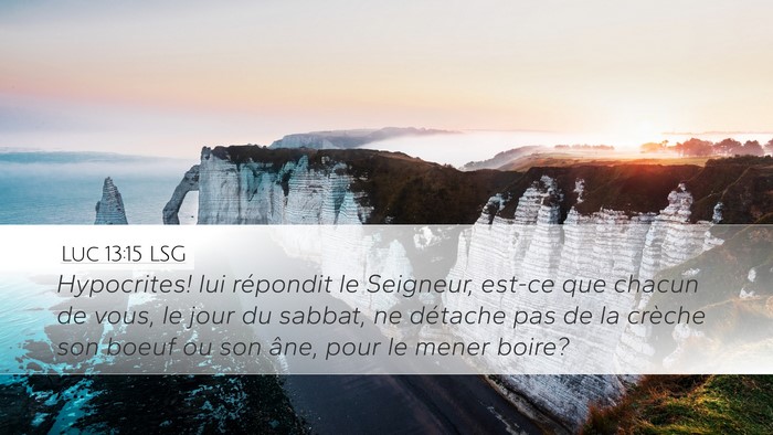 Luc 13:15 LSG Bible Verse Image
