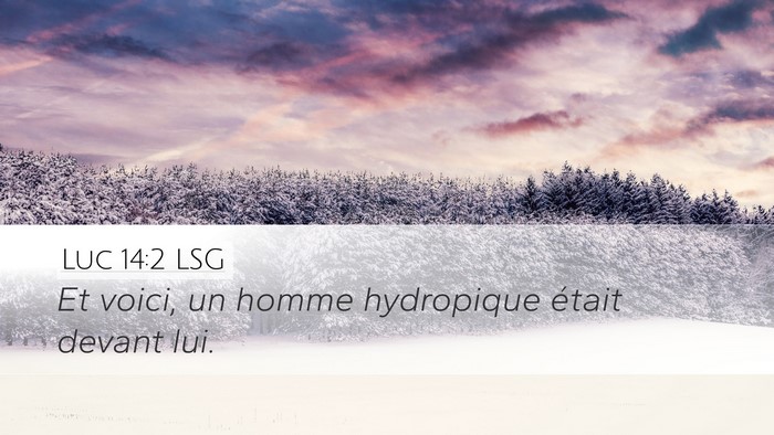 Luc 14:2 LSG Desktop Wallpaper - Et voici, un homme hydropique était devant - Desktop Bible Verse Wallpaper