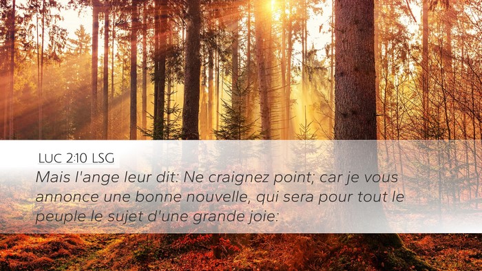 Luc 2:10 LSG Bible Verse Image