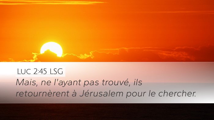 Luc 2:45 LSG Desktop Wallpaper - Mais, ne l'ayant pas trouvé, ils retournèrent - Desktop Bible Verse Wallpaper