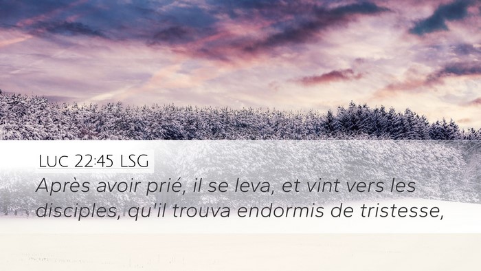 Luc 22:45 LSG Bible Verse Image