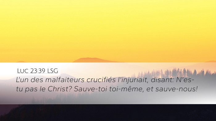Luc 23:39 LSG Bible Verse Image