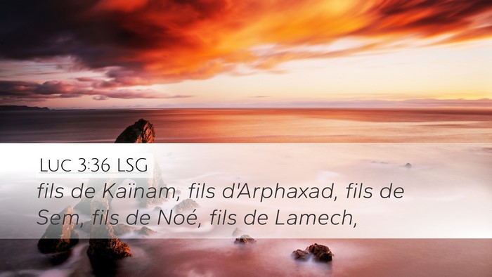 Luc 3:36 LSG Bible Verse Image