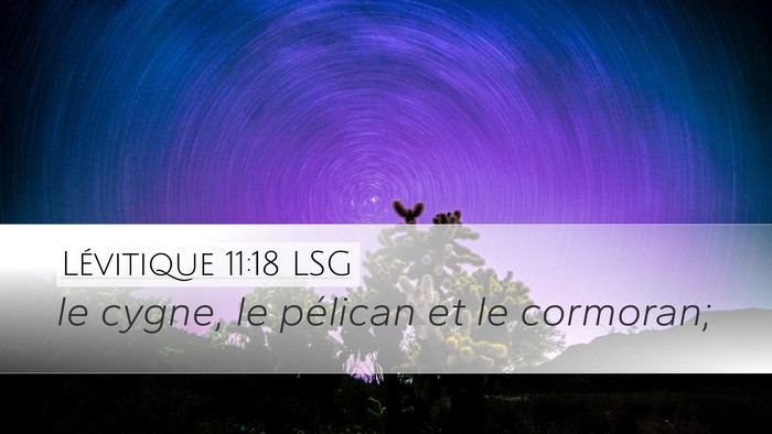 Lévitique 11:18 LSG Desktop Wallpaper - le cygne, le pélican et le - Desktop Bible Verse Wallpaper