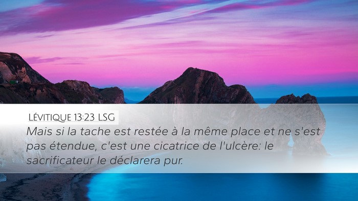 Lévitique 13:23 LSG Bible Verse Image
