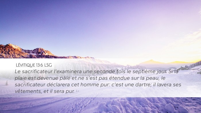 Lévitique 13:6 LSG Desktop Wallpaper - Le sacrificateur l'examinera une seconde fois le - Desktop Bible Verse Wallpaper