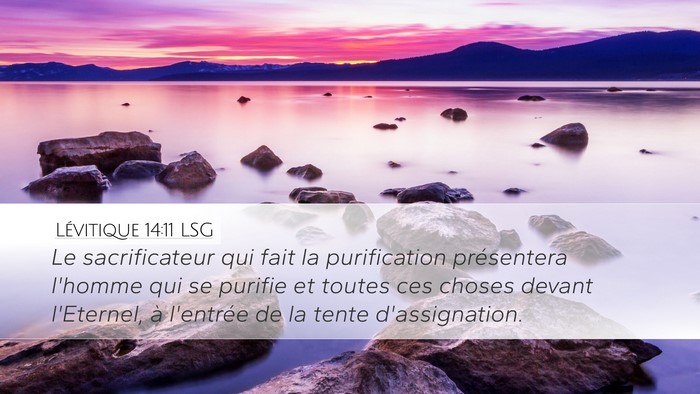 Lévitique 14:11 LSG Desktop Wallpaper - Le sacrificateur qui fait la purification - Desktop Bible Verse Wallpaper