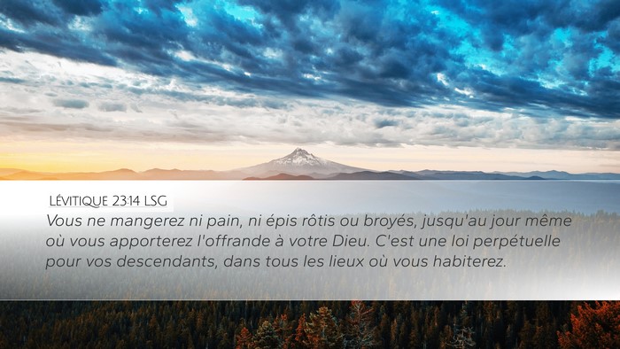 Lévitique 23:14 LSG Bible Verse Image