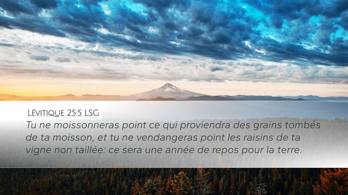 Lévitique 25:5 LSG Desktop Wallpaper - Tu ne moissonneras point ce qui proviendra des - Desktop Bible Verse Wallpaper