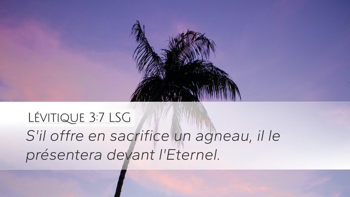 Lévitique 3:7 LSG Desktop Wallpaper - S'il offre en sacrifice un agneau, il le - Desktop Bible Verse Wallpaper
