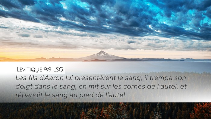 Lévitique 9:9 LSG Bible Verse Image