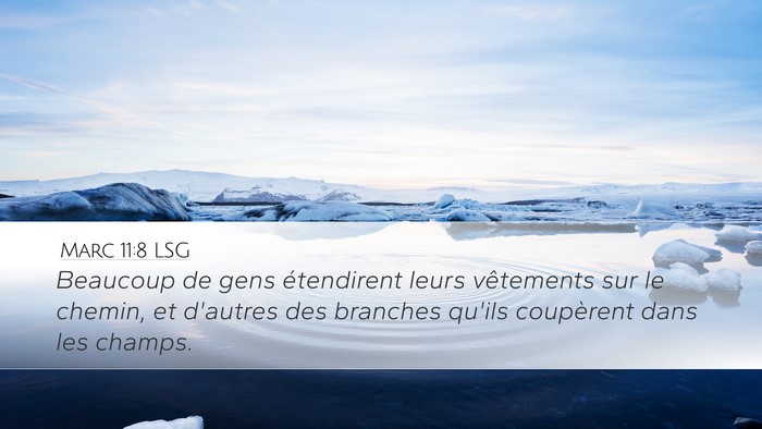 Marc 11:8 LSG Desktop Wallpaper - Beaucoup de gens étendirent leurs vêtements sur - Desktop Bible Verse Wallpaper