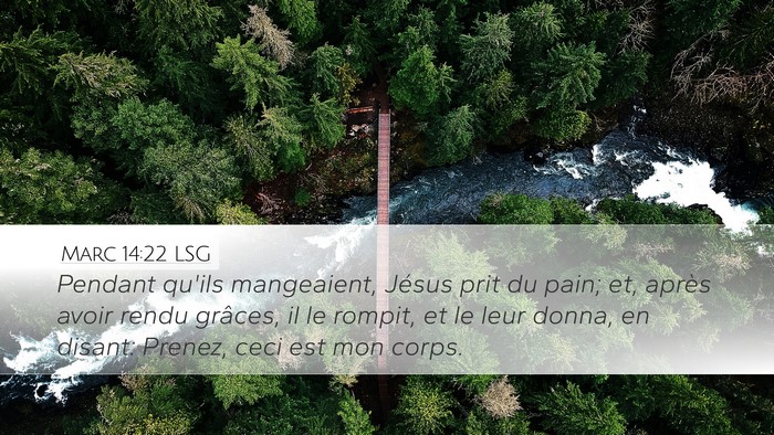 Marc 14:22 LSG Bible Verse Image