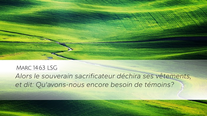 Marc 14:63 LSG Bible Verse Image