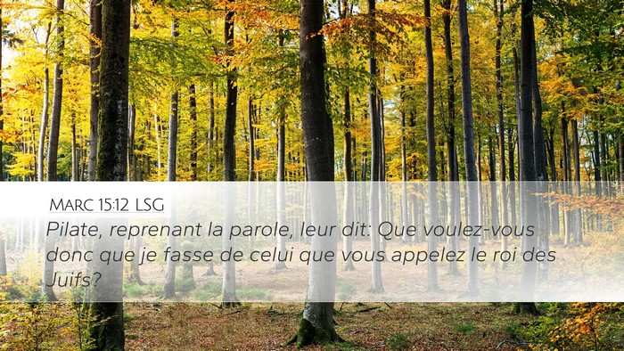 Marc 15:12 LSG Bible Verse Image
