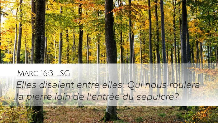 Marc 16:3 LSG Bible Verse Image