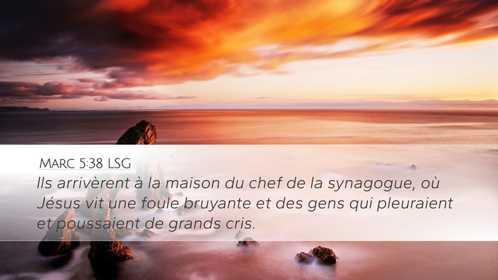 Marc 5:38 LSG Bible Verse Image