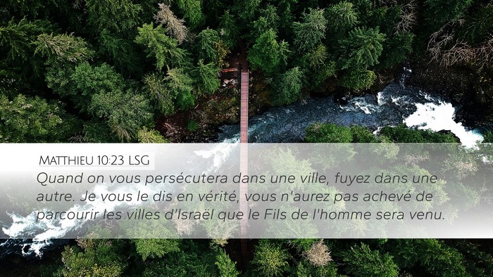 Matthieu 10:23 LSG Bible Verse Image