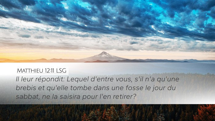 Matthieu 12:11 LSG Bible Verse Image