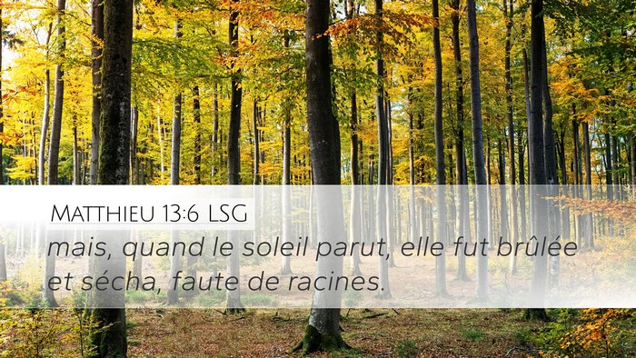 Matthieu 13:6 LSG Bible Verse Image