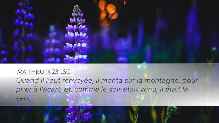 Matthieu 14:23 LSG Bible Verse Image