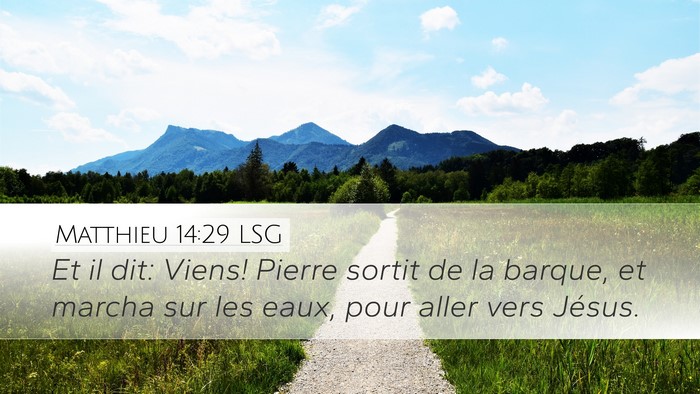 Matthieu 14:29 LSG Desktop Wallpaper - Et il dit: Viens! Pierre sortit de la barque, et - Desktop Bible Verse Wallpaper