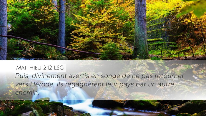 Matthieu 2:12 LSG Bible Verse Image