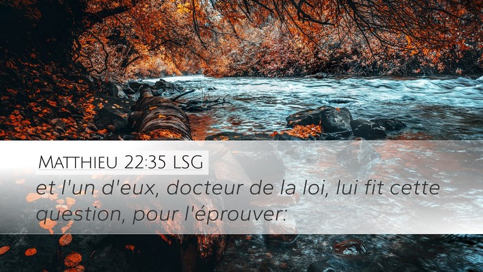 Matthieu 22:35 LSG Bible Verse Image