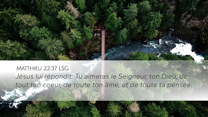 Matthieu 22:37 LSG Bible Verse Image
