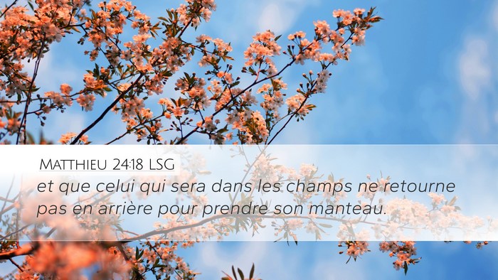Matthieu 24:18 LSG Desktop Wallpaper - et que celui qui sera dans les champs ne retourne - Desktop Bible Verse Wallpaper
