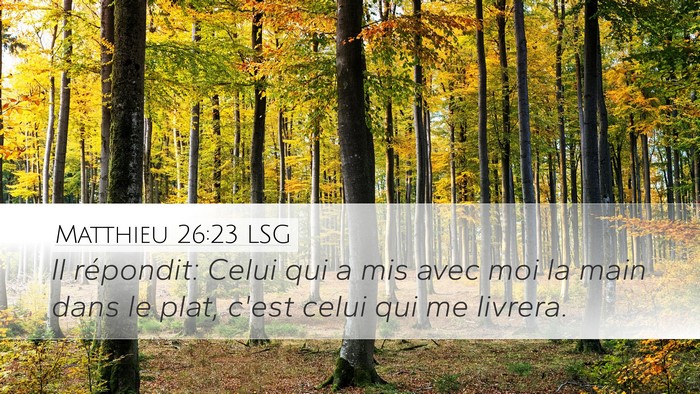 Matthieu 26:23 LSG Bible Verse Image