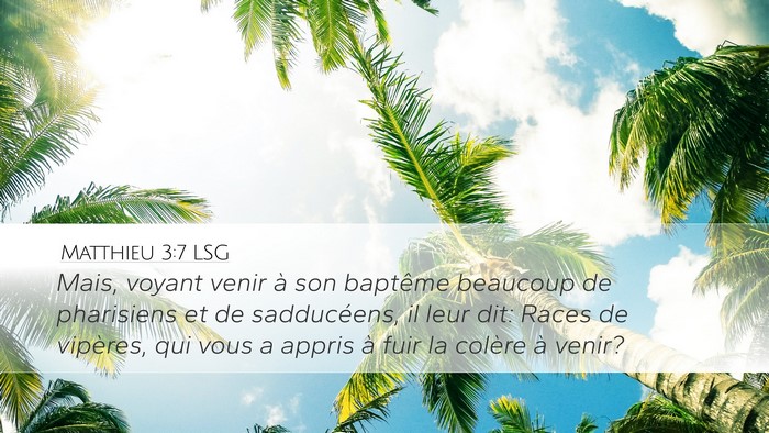 Matthieu 3:7 LSG Bible Verse Image